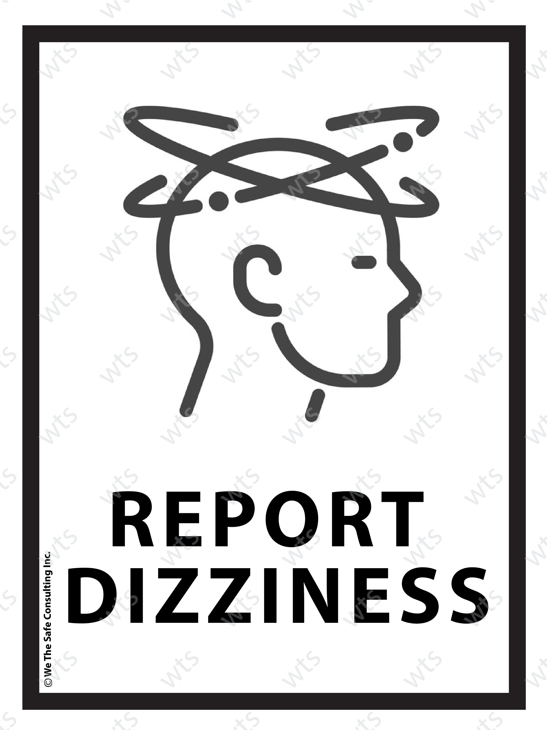 Report Diziness - Poster