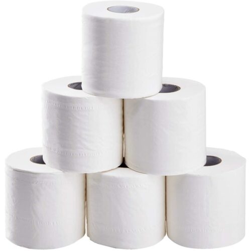 Toilet Paper - 2 Ply - Premium (48 Rolls/Case)