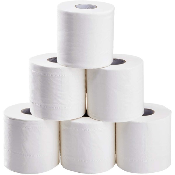 Toilet Paper - 2 Ply - Premium (48 Rolls/Case)